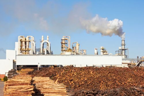 Read more about the article Pulp and Paper: 4 Key Maintenance Areas